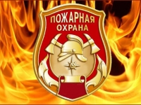 Пожарной охране России – 375 лет: орловские огнеборцы продолжают успешную борьбу с пожарами